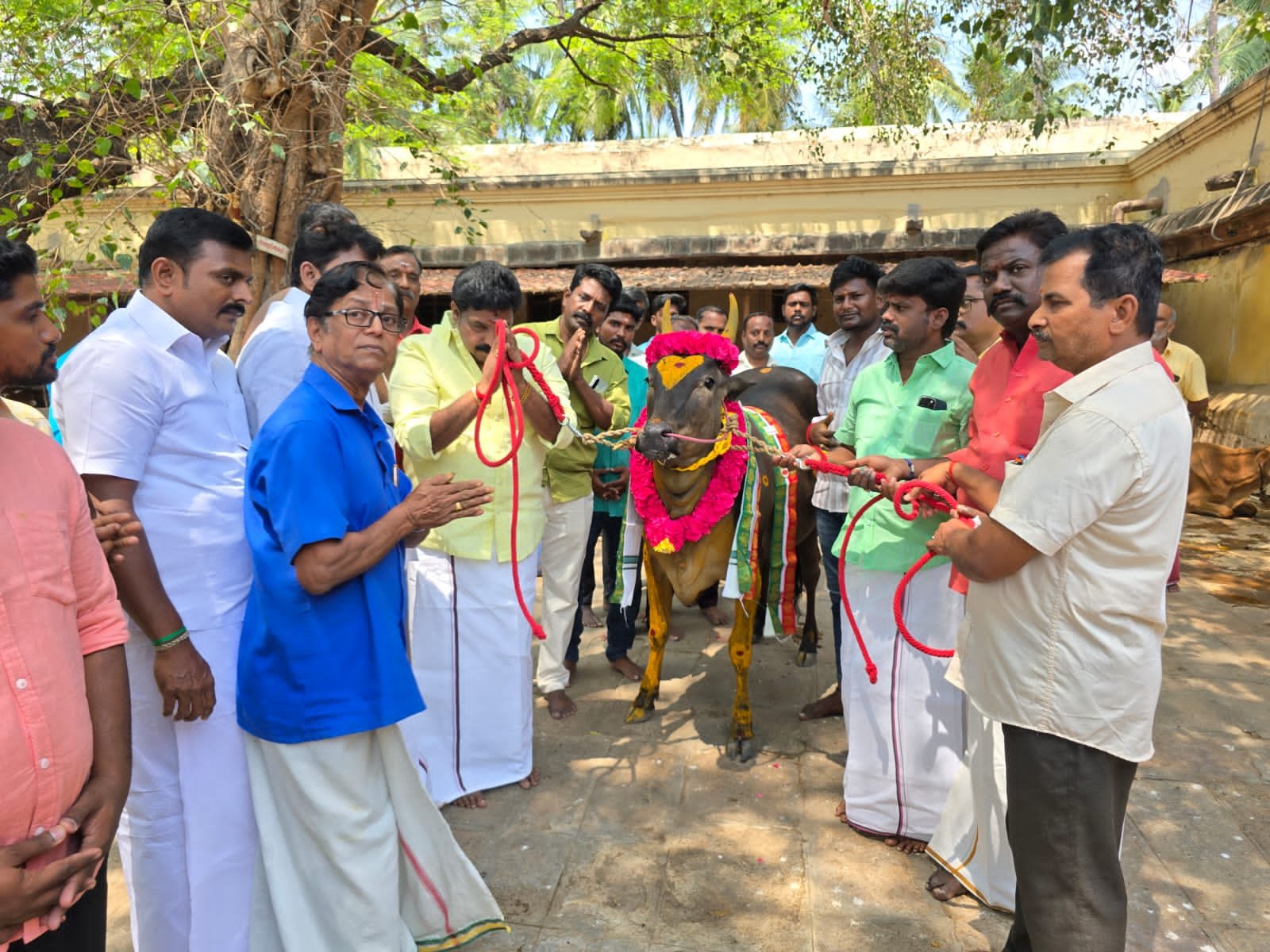 திருச்சி ஸ்ரீரங்கம்  கோயிலுக்கு ரூ.8 லட்சம் மதிப்புள்ள  காரம்பசு மாட்டை தானமாக வழங்கிய  பழனியாண்டி எம் எல் ஏ.