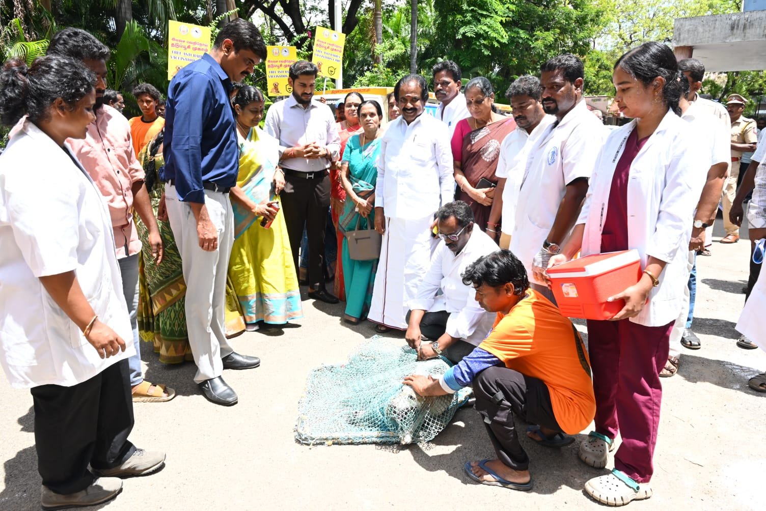 திருச்சி மாநகராட்சியில் 10,000  தெரு நாய்களுக்கு   ரேபீஸ் தடுப்பூசி பூஸ்டர் மருந்துகள் செலுத்தும் பணியை மேயர் மு.அன்பழகன் இன்று  தொடங்கி வைத்தார்.